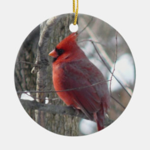 Kardinaal fotogezang in wintersieraad keramisch ornament