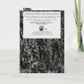 Kardinaal geheugenverdelingskaart feestdagen kaart (Achterkant)