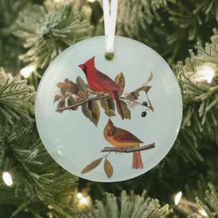 Kardinaal Grosbeak Audubon Birds of America Glas Ornament