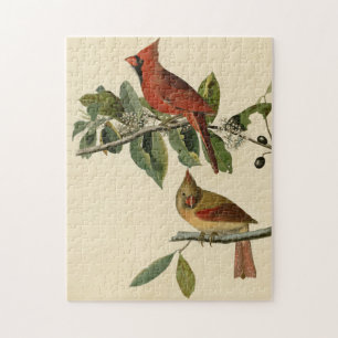 Kardinaal Grosbeak van de Amerikaanse vogels van A Legpuzzel