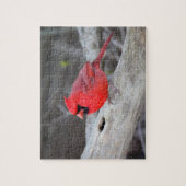 Kardinaal in Bossen Legpuzzel (Verticaal)