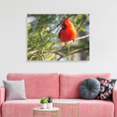 Kardinaal in de pijnbomen canvas afdruk (Insitu (Woonkamer))