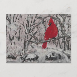 Kardinaal in de sneeuw briefkaart