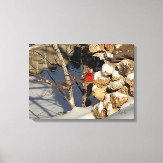 Kardinaal in de sneeuw canvas afdruk (Voorkant)