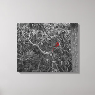 Kardinaal in een boom Uitgerekte Canvas Print