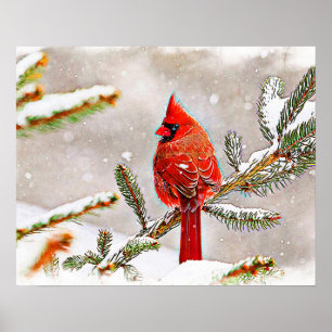 Kardinaal in een dennenboom in de winter poster