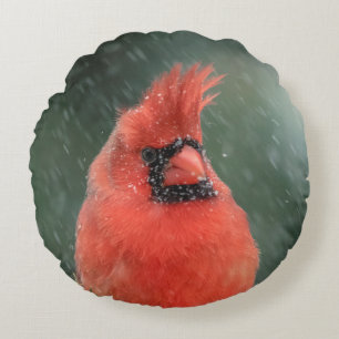 Kardinaal in een dennenboom tijdens een sneeuwstor rond kussen