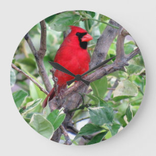 Kardinaal in een Lemon-boom - Vogel - Wandklok Grote Klok