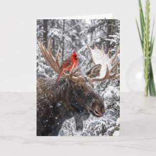 Kardinaal in kerst-rood op besneeuwde elandengewei kaart