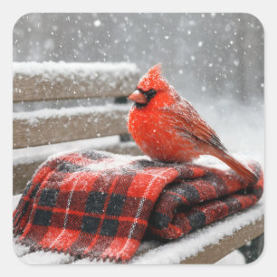 Kardinaal in kerst-rood op een sneeuwig geruit dek vierkante sticker