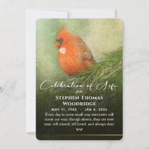 Kardinaal in Spruce Celebration of Life 5x7 Invita Kaart