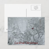 Kardinaal kerstfeest feestdagenkaart (Voorkant / Achterkant)