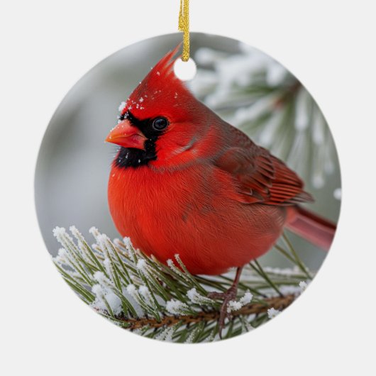 Kardinaal kerstversiering keramisch ornament (Achterkant)