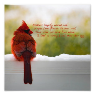 Kardinaal met bezoeker uit hemelgedicht 12x12 foto afdruk