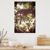 Kardinaal Nest Poster (Keuken)