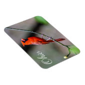 Kardinaal Ohio Magnet Magneet (Rechterzijde)