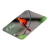Kardinaal Ohio Magnet Magneet (Linkerzijde)