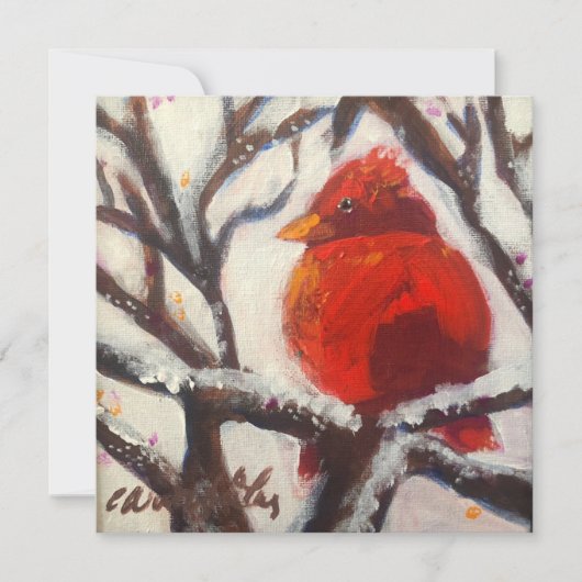 Kardinaal op besneeuwde tak wenskaart feestdagenkaart (Voorkant)