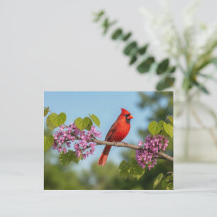 Kardinaal op een Cercis tak Briefkaart