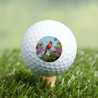 Kardinaal op een Cercis tak Golfballen