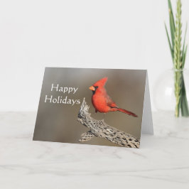 Kardinaal op een cholla rib, Prettige Feestdagen