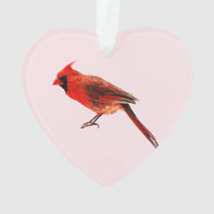Kardinaal Ornament