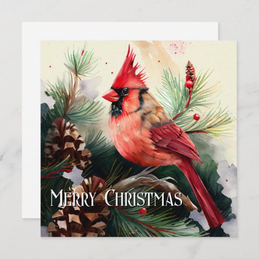 Kardinaal Perched in Evergreen Tree met Pinecones Feestdagenkaart (Voorkant / Achterkant)