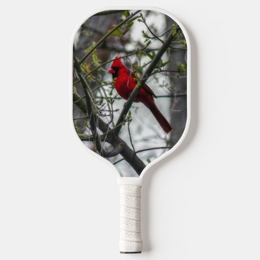Kardinaal Pickleball Paddle (Voorkant)