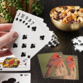 Kardinaal pokerkaarten (Insitu)