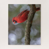 Kardinaal portret legpuzzel (Verticaal)