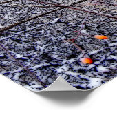 Kardinaal Poster (Hoek)