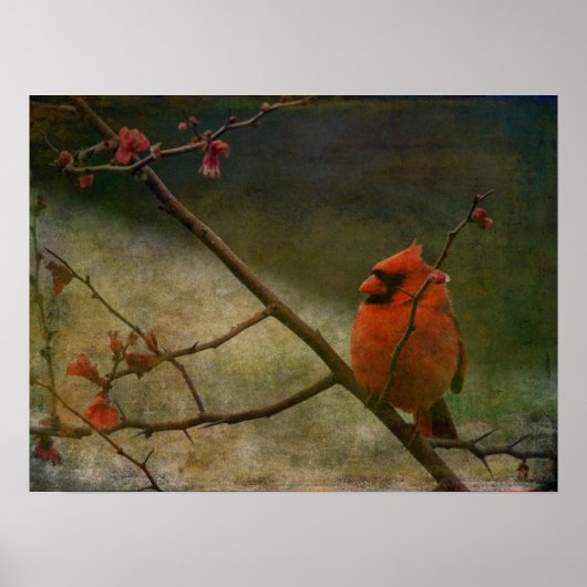 Kardinaal Poster (Voorkant)