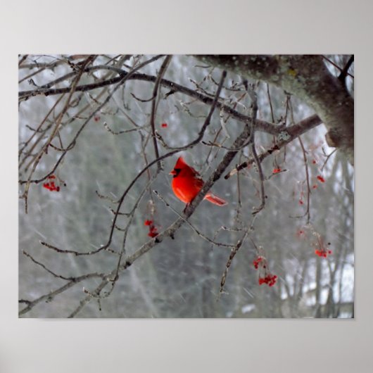 Kardinaal Poster (Voorkant)