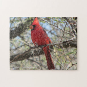 Kardinaal Puzzle Legpuzzel