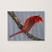 Kardinaal - Red Bird - 8x10 - 110 pc Legpuzzel (Horizontaal)