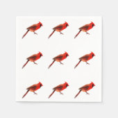 Kardinaal Servet (Voorkant)