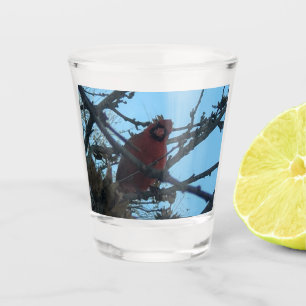 Kardinaal Shot Glas