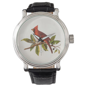 Kardinaal Song Bird Illustration - 1800's Horloge