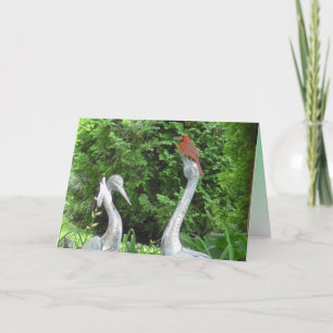 Kardinaal staand op Pelikanen Blanco Kaart