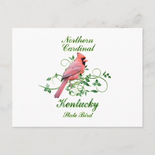 Kardinaal staatsvogel Kentucky Briefkaart (Voorkant)