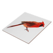 Kardinaal Tegeltje (Zijkant)