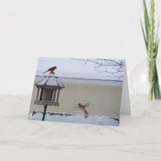 Kardinaal tijdens de vlucht feestdagen kaart