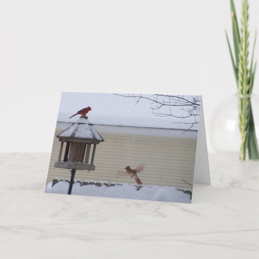 Kardinaal tijdens de vlucht feestdagen kaart (Voorkant)