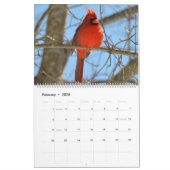 Kardinaal tijdschema 2020 kalender (Feb 2026)