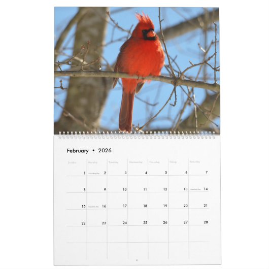 Kardinaal tijdschema 2020 kalender (Feb 2026)