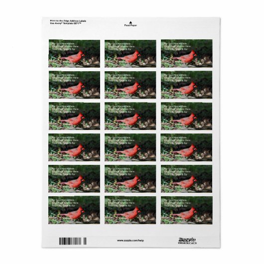 Kardinaal verzendlabel etiket (Full Sheet)