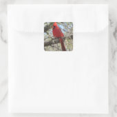 Kardinaal Vierkante Sticker (Tas)