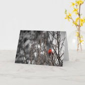 Kardinaal vogel, kaart (Gele Bloem)