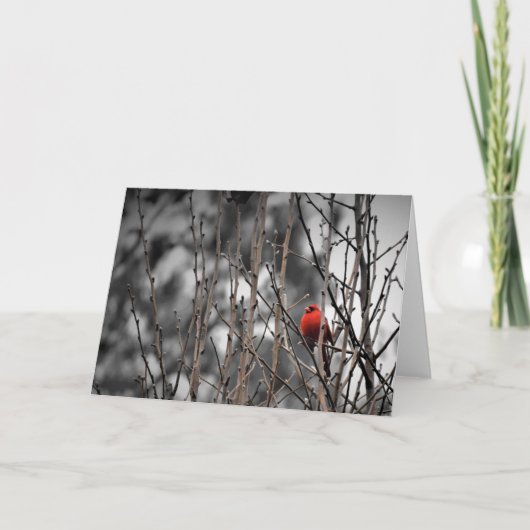 Kardinaal vogel, kaart (Voorkant)