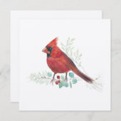 Kardinaal Vogel Waterverf (Voorkant / Achterkant)